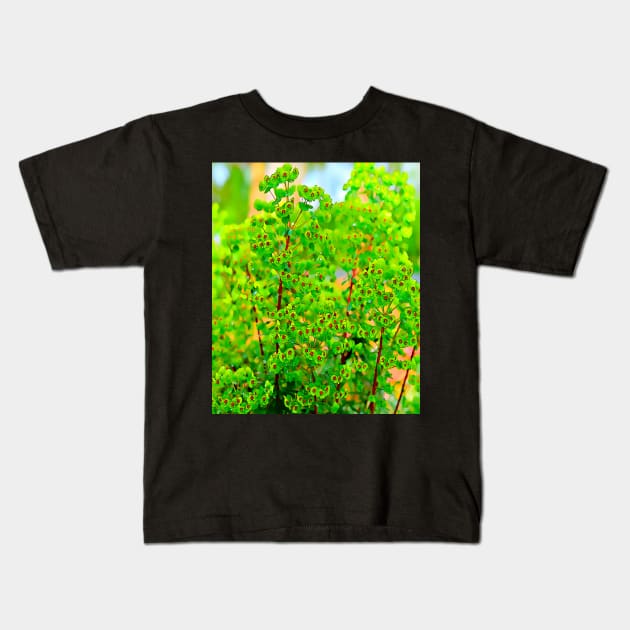 Euphorbia Ascot Rainbow Kids T-Shirt by fantastic-designs